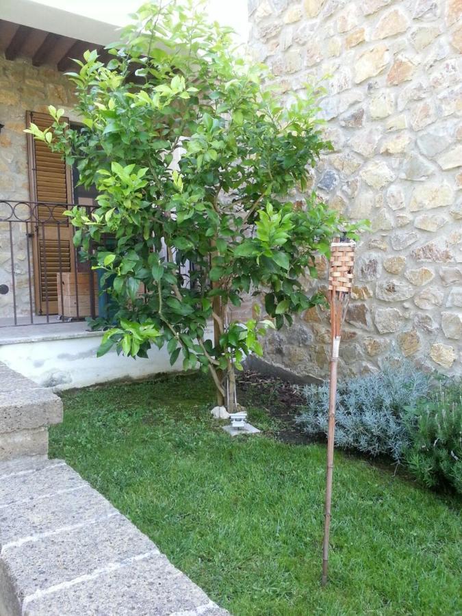 Il Poggio Da Leo Apartment Capanne Exterior photo